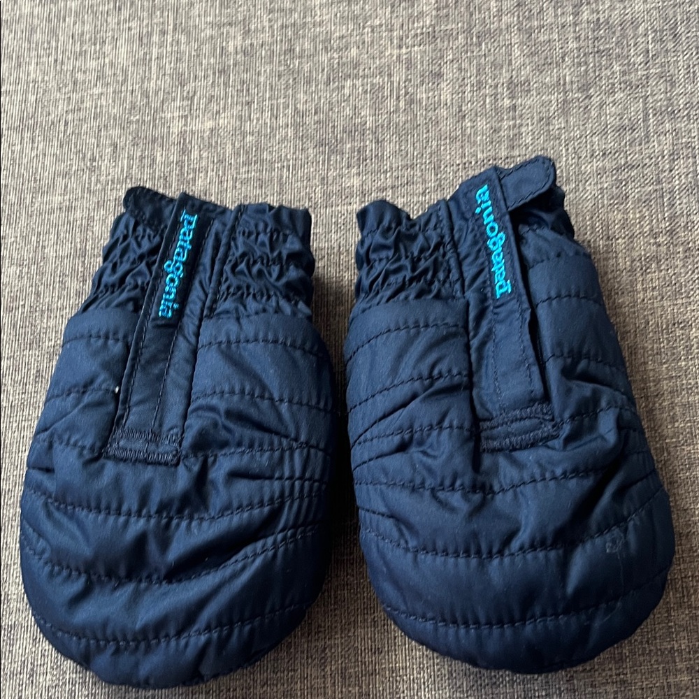Patagonia Toddler Mittens 18-24mo